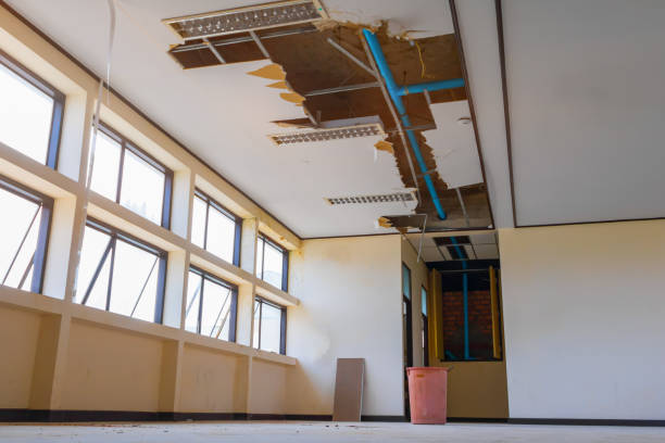 Best Flood restoration services  in Ridgetop, TN
