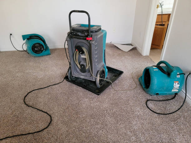 Best Emergency water damage restoration  in Ridgetop, TN