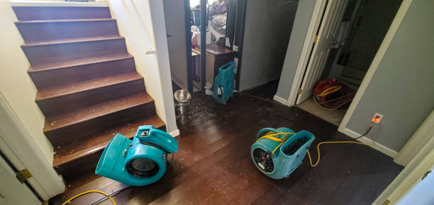 Best Mold removal after water damage  in Ridgetop, TN