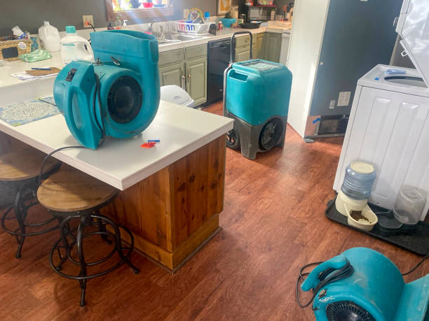 Best Commercial water damage restoration  in Ridgetop, TN