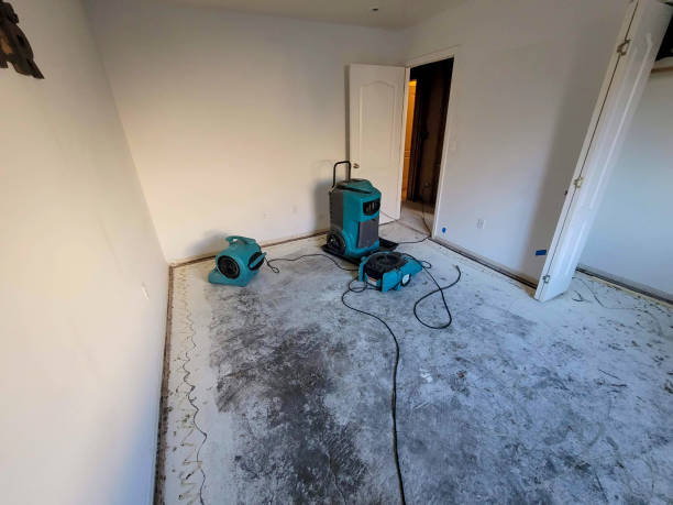 Best 24/7 water damage repair  in Ridgetop, TN