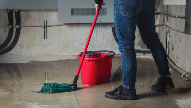 Best Water damage restoration near me  in Ridgetop, TN