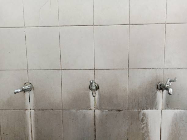 Best Local water damage restoration  in Ridgetop, TN