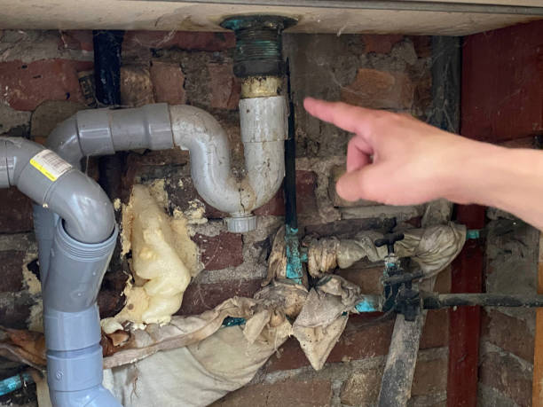 Best Flood damage cleanup  in Ridgetop, TN