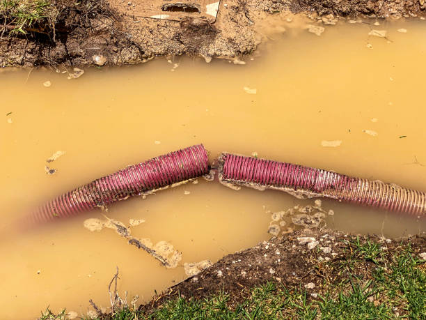 Best Commercial water damage restoration  in Ridgetop, TN
