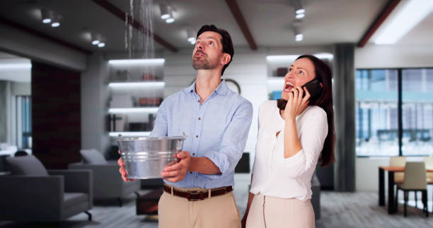 Best Flooded house restoration  in Ridgetop, TN