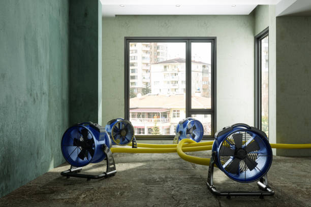 Best Professional water damage repair  in Ridgetop, TN